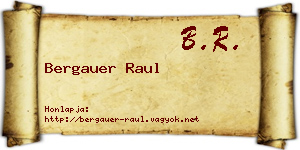 Bergauer Raul névjegykártya
